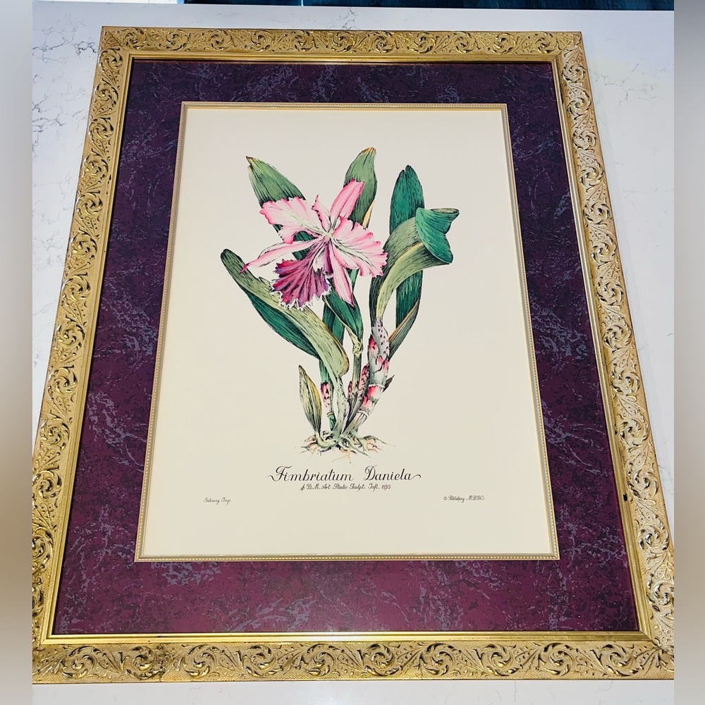VTG hand-tinted etching orchid print signed by Dan Mitra in gilded frame 31x25